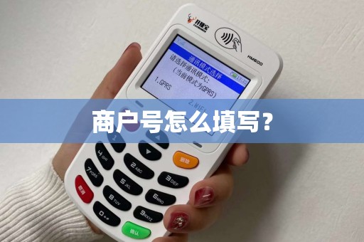 商户号怎么填写？