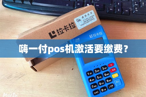 嗨一付pos机激活要缴费？