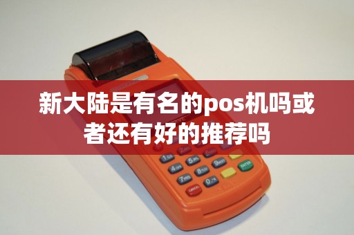 新大陆是有名的pos机吗或者还有好的推荐吗