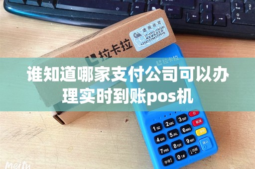 谁知道哪家支付公司可以办理实时到账pos机