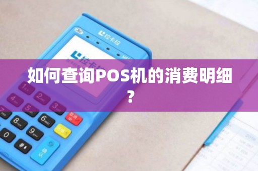 如何查询POS机的消费明细？