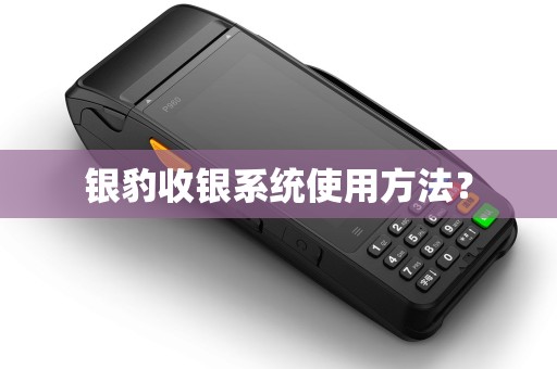 银豹收银系统使用方法？