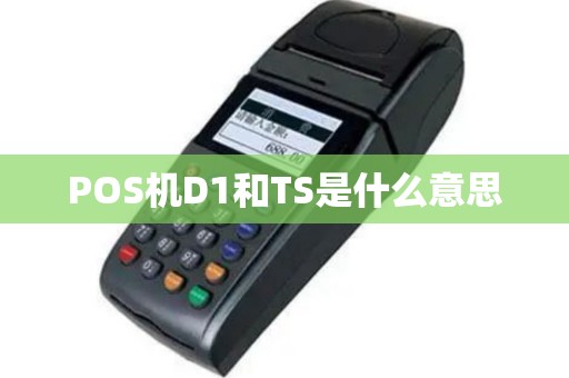 POS机D1和TS是什么意思