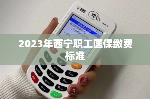2023年西宁职工医保缴费标准