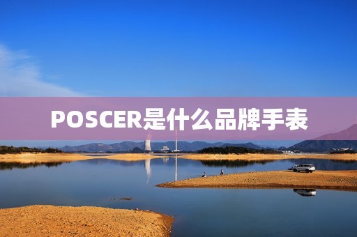 POSCER是什么品牌手表