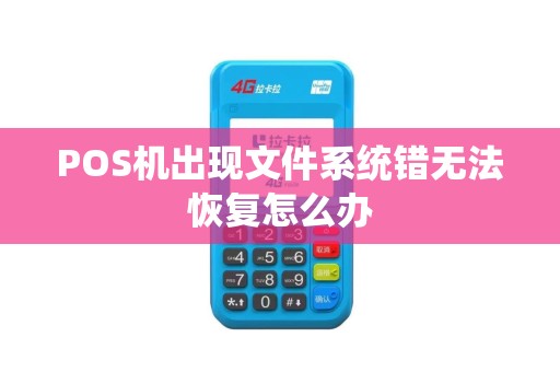 POS机出现文件系统错无法恢复怎么办
