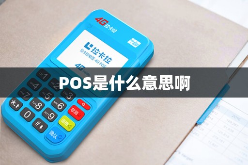 POS是什么意思啊