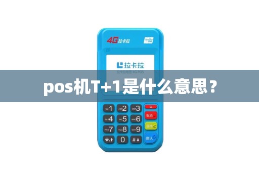 pos机T+1是什么意思？