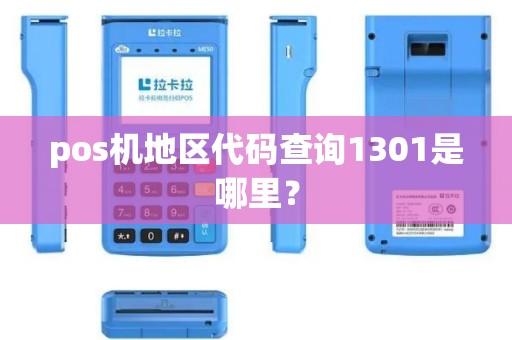 pos机地区代码查询1301是哪里？