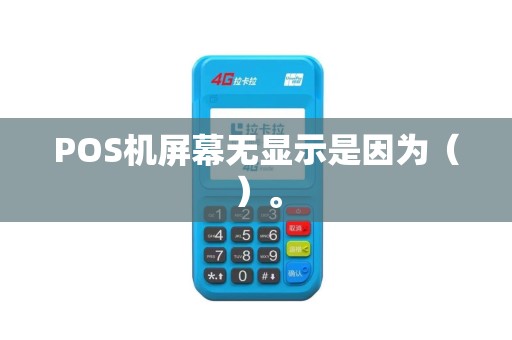 POS机屏幕无显示是因为（）。