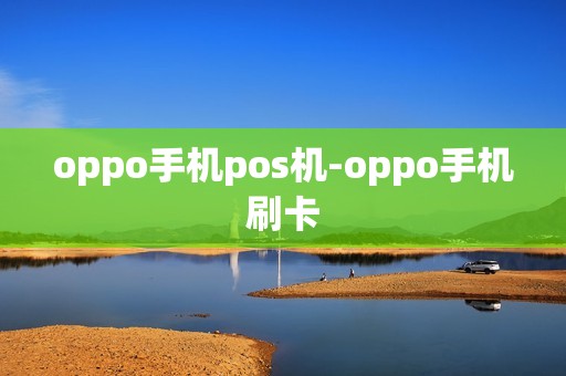 oppo手机pos机-oppo手机刷卡