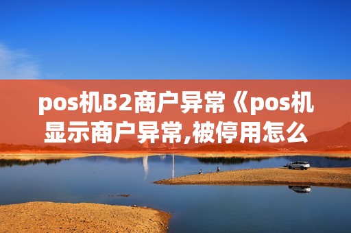 pos机B2商户异常《pos机显示商户异常,被停用怎么回事》