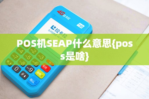 POS机SEAP什么意思{poss是啥}