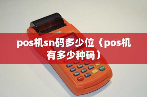 pos机sn码多少位（pos机有多少种码）