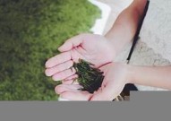 新昌pos机在哪里办？新昌哪里可以办公交卡